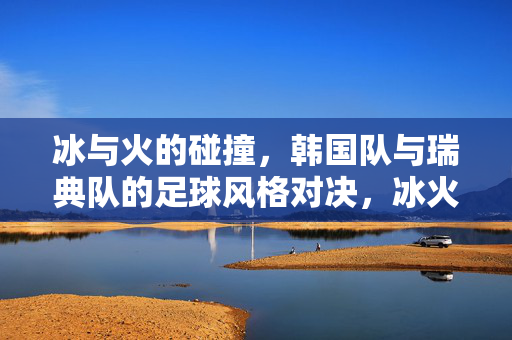冰与火的碰撞,韩国队与瑞典队的足球风格对决,冰火对决,韩国队与瑞典队的足球风格碰撞