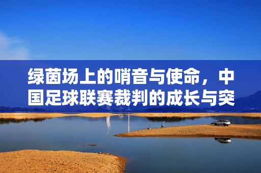 绿茵场上的哨音与使命，中国足球联赛裁判的成长与突围，哨音与使命，中国足球联赛裁判的成长突围
