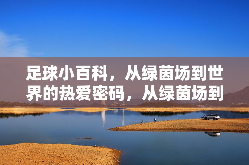 足球小百科，从绿茵场到世界的热爱密码，从绿茵场到世界，足球的热爱密码