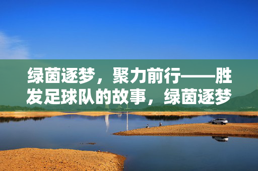 绿茵逐梦，聚力前行——胜发足球队的故事，绿茵逐梦聚力前行——胜发足球队的故事