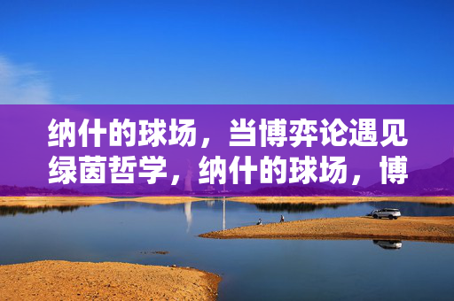 纳什的球场，当博弈论遇见绿茵哲学，纳什的球场，博弈论与绿茵哲学的邂逅