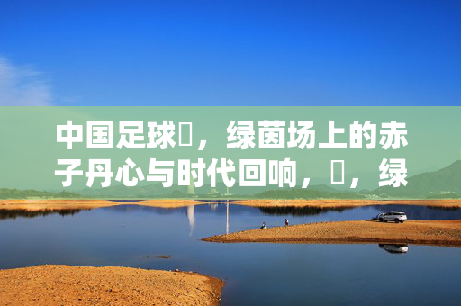 中国足球赟,绿茵场上的赤子丹心与时代回响,赟,绿茵赤子,时代回响