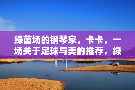 绿茵场的钢琴家，卡卡，一场关于足球与美的推荐，绿茵场钢琴家卡卡，足球与美的艺术