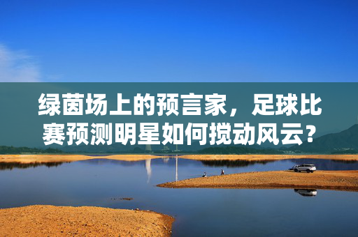 绿茵场上的预言家,足球比赛预测明星如何搅动风云?绿茵场预言家,足球预测明星搅动风云