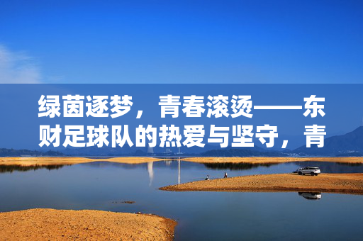 绿茵逐梦,青春滚烫——东财足球队的热爱与坚守,青春滚烫,绿茵逐梦,东财足球队的热爱与坚守