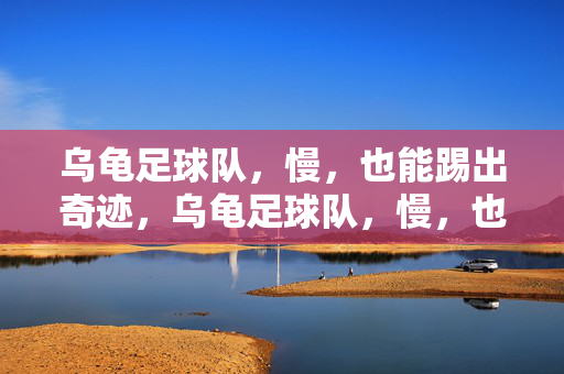 乌龟足球队，慢，也能踢出奇迹，乌龟足球队，慢，也能踢出奇迹