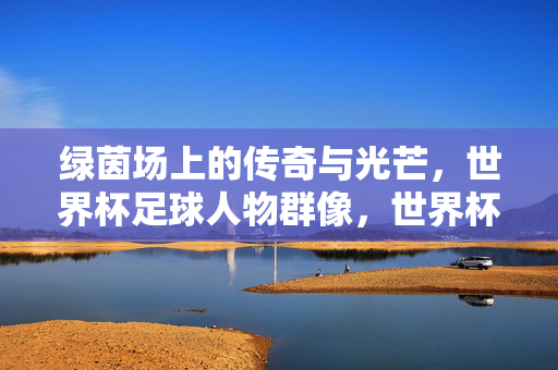 绿茵场上的传奇与光芒，世界杯足球人物群像，世界杯足球人物群像，绿茵传奇与光芒
