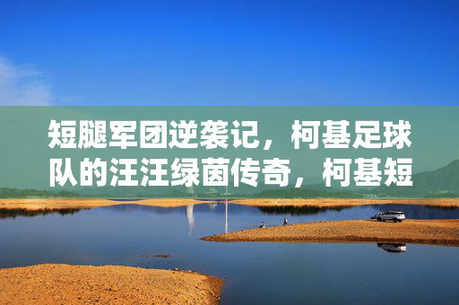 短腿军团逆袭记，柯基足球队的汪汪绿茵传奇，柯基短腿军团的汪汪绿茵逆袭记