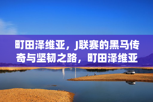 町田泽维亚,J联赛的黑马传奇与坚韧之路,町田泽维亚,J联赛黑马传奇与坚韧之路