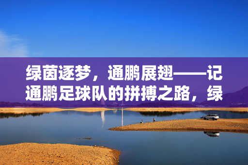 绿茵逐梦，通鹏展翅——记通鹏足球队的拼搏之路，绿茵逐梦，通鹏展翅