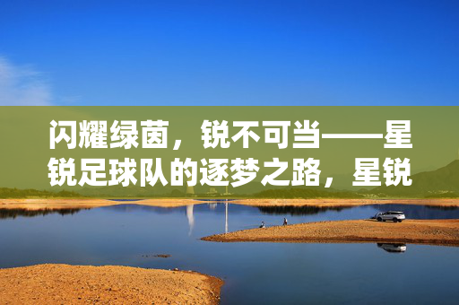 闪耀绿茵，锐不可当——星锐足球队的逐梦之路，星锐闪耀绿茵，逐梦锐不可当