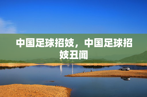 中国足球招妓，中国足球招妓丑闻