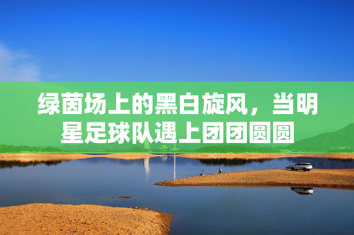 绿茵场上的黑白旋风，当明星足球队遇上团团圆圆