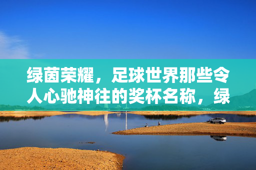 绿茵荣耀，足球世界那些令人心驰神往的奖杯名称，绿茵荣耀，足球世界令人心驰神往的奖杯名称
