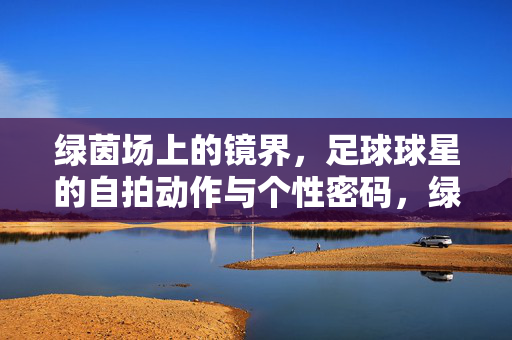 绿茵场上的镜界，足球球星的自拍动作与个性密码，绿茵镜界，球星自拍里的个性密码