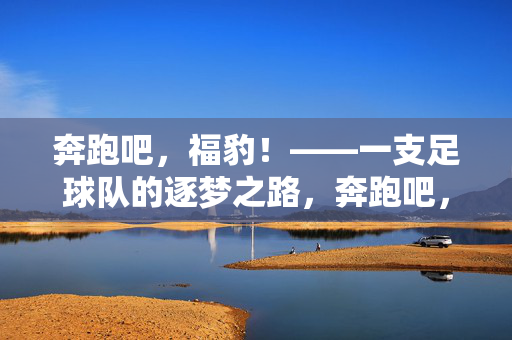奔跑吧，福豹！——一支足球队的逐梦之路，奔跑吧，福豹！——逐梦之路