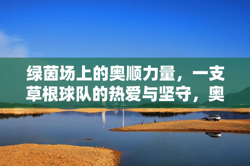 绿茵场上的奥顺力量，一支草根球队的热爱与坚守，奥顺力量，草根球队的热爱与坚守