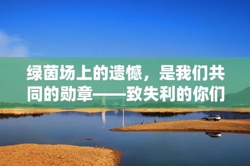 绿茵场上的遗憾，是我们共同的勋章——致失利的你们，遗憾亦勋章，致绿茵场失利的你们
