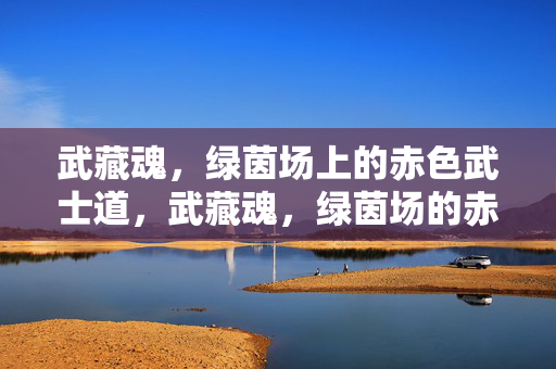 武藏魂，绿茵场上的赤色武士道，武藏魂，绿茵场的赤色武士道