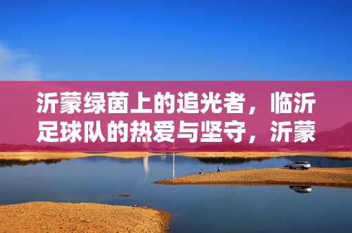 沂蒙绿茵上的追光者，临沂足球队的热爱与坚守，沂蒙绿茵追光者，临沂足球队的热爱与坚守