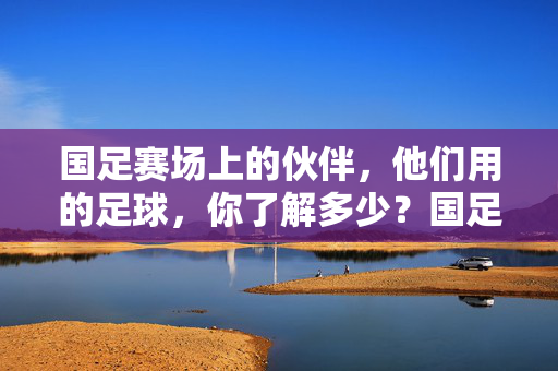 国足赛场上的伙伴，他们用的足球，你了解多少？国足赛场上的足球伙伴，你了解多少？