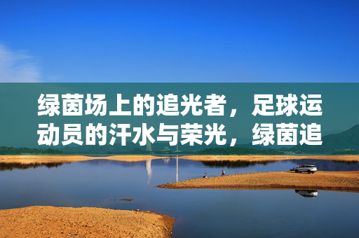 绿茵场上的追光者，足球运动员的汗水与荣光，绿茵追光者，汗水铸就荣光