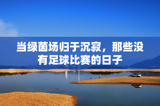 当绿茵场归于沉寂，那些没有足球比赛的日子
