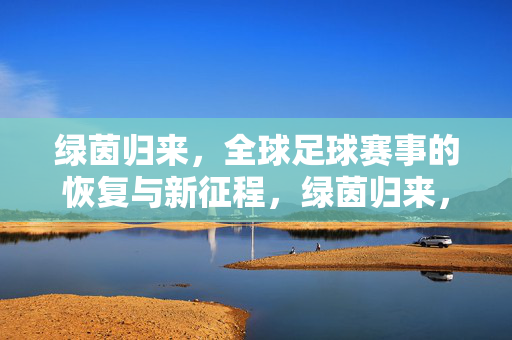 绿茵归来，全球足球赛事的恢复与新征程，绿茵归来，全球足球赛事恢复与新征程
