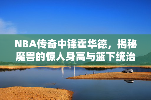 NBA传奇中锋霍华德，揭秘魔兽的惊人身高与篮下统治力，霍华德，魔兽的惊人身高与篮下统治力