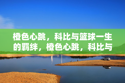 橙色心跳，科比与篮球一生的羁绊，橙色心跳，科比与篮球一生的羁绊