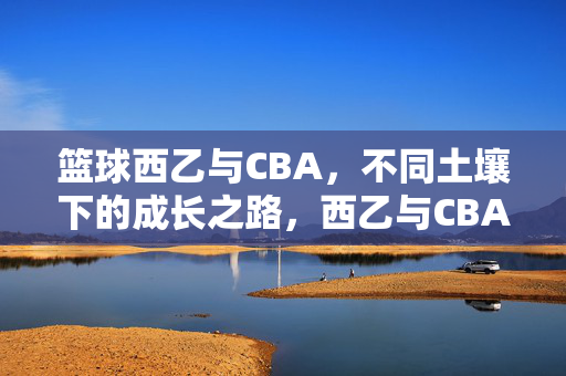 篮球西乙与CBA，不同土壤下的成长之路，西乙与CBA，不同土壤的篮球成长之路
