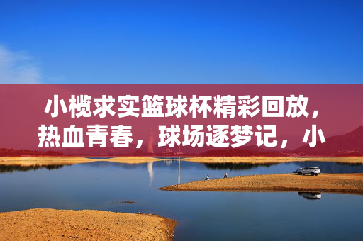 小榄求实篮球杯精彩回放,热血青春,球场逐梦记,小榄求实篮球杯精彩回放,热血青春球场逐梦记