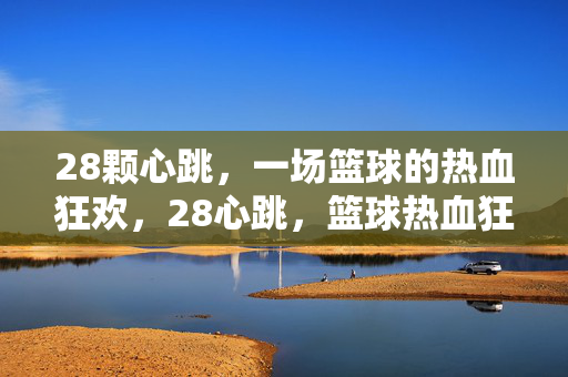 28颗心跳，一场篮球的热血狂欢，28心跳，篮球热血狂欢