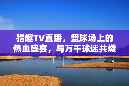 猎趣TV直播，篮球场上的热血盛宴，与万千球迷共燃竞技激情，猎趣TV直播，篮球热血盛宴，万千球迷共燃竞技激情