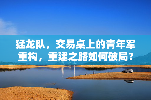 猛龙队，交易桌上的青年军重构，重建之路如何破局？猛龙队青年军重构，交易桌上的重建破局