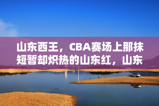 山东西王，CBA赛场上那抹短暂却炽热的山东红，山东西王，CBA赛场那抹短暂却炽热的山东红