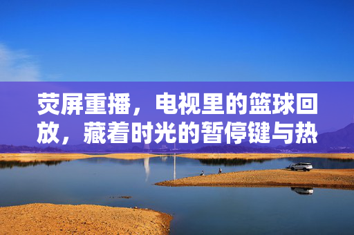 荧屏重播，电视里的篮球回放，藏着时光的暂停键与热血的慢镜头
