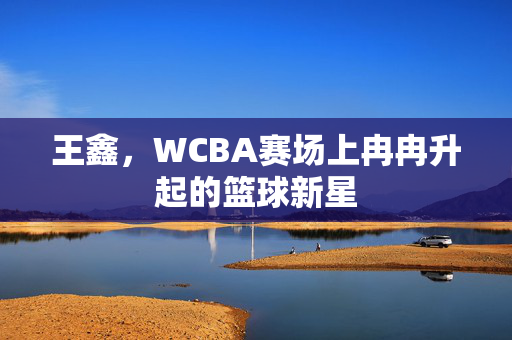 王鑫，WCBA赛场上冉冉升起的篮球新星