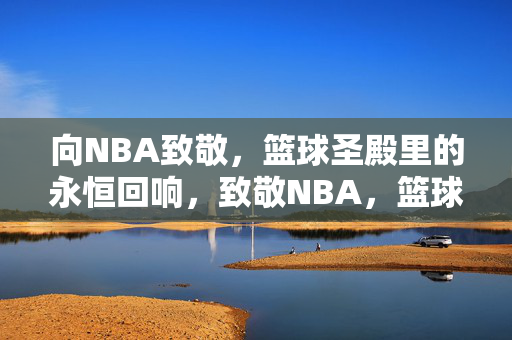 向NBA致敬，篮球圣殿里的永恒回响，致敬NBA，篮球圣殿的永恒回响