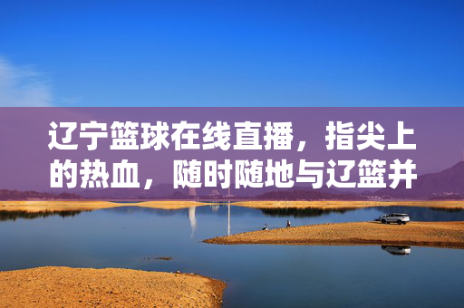 辽宁篮球在线直播，指尖上的热血，随时随地与辽篮并肩，辽宁篮球直播，指尖热血，随时随地并肩