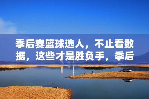 季后赛篮球选人，不止看数据，这些才是胜负手，季后赛选人，数据之外的胜负手