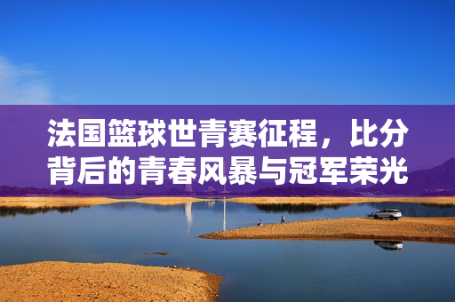 法国篮球世青赛征程，比分背后的青春风暴与冠军荣光，法国世青赛，青春风暴铸就冠军荣光