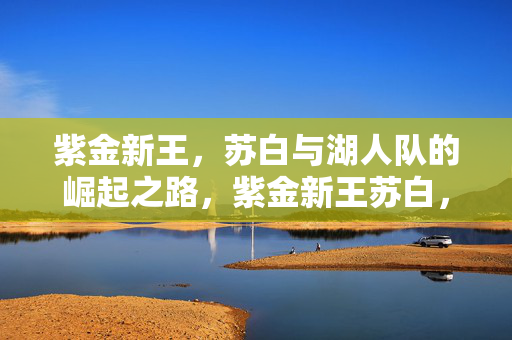 紫金新王，苏白与湖人队的崛起之路，紫金新王苏白，湖人崛起之路