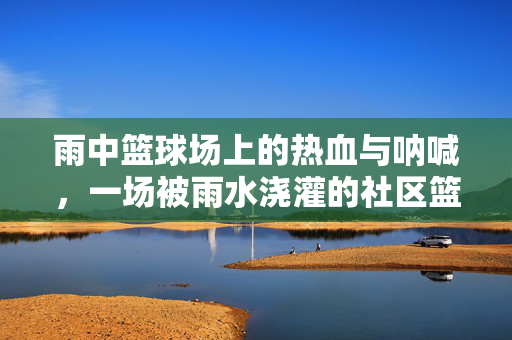 雨中篮球场上的热血与呐喊，一场被雨水浇灌的社区篮球赛