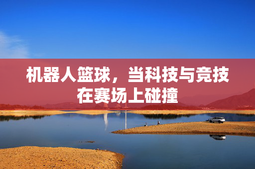 机器人篮球，当科技与竞技在赛场上碰撞