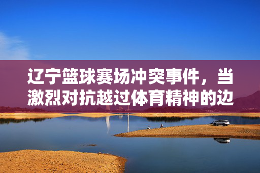 辽宁篮球赛场冲突事件，当激烈对抗越过体育精神的边界，辽宁篮球赛场冲突，激烈对抗越过体育精神边界
