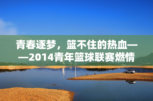 青春逐梦，篮不住的热血——2014青年篮球联赛燃情回望，青春逐梦，篮不住的热血——2014青年篮球联赛燃情回望
