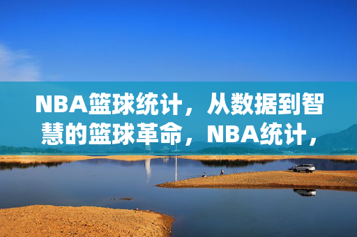 NBA篮球统计，从数据到智慧的篮球革命，NBA统计，从数据到智慧的革命