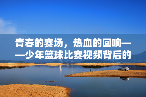青春的赛场，热血的回响——少年篮球比赛视频背后的故事，少年篮球，青春赛场的热血故事