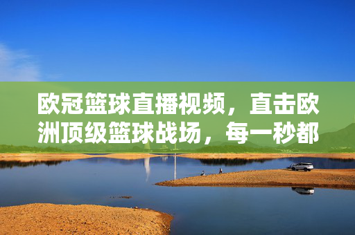 欧冠篮球直播视频，直击欧洲顶级篮球战场，每一秒都是热血沸腾！欧冠篮球直播，直击顶级战场，每一秒热血沸腾！